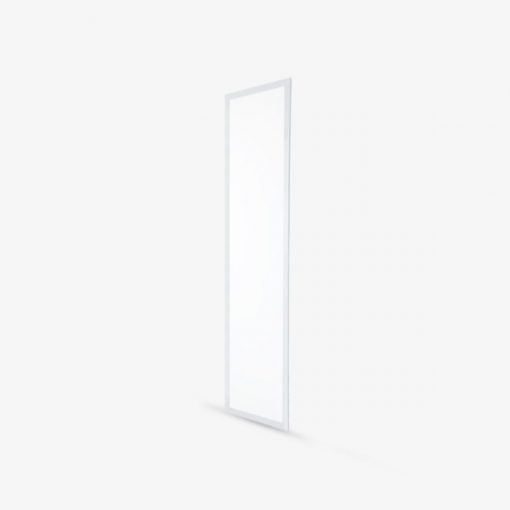 Đèn LED Panel P06 30X1200 Rạng Đông