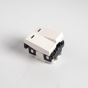Công Tắc B 1 Chiều Loại Đôi Cỡ Trung WEV502127SW Màu Trắng
